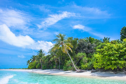 pexels-photo-2549017-2549017 A serene tropical beach scene with coconut palms, white sand, and clear water under a bright blue sky.